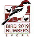 Bird Numbers 2019